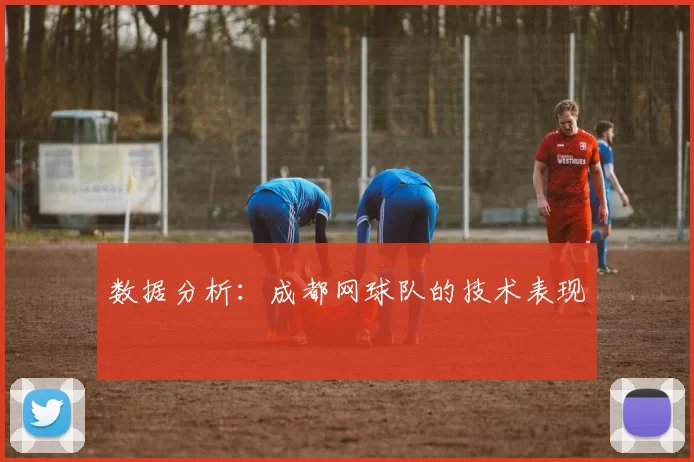 数据分析：成都网球队的技术表现