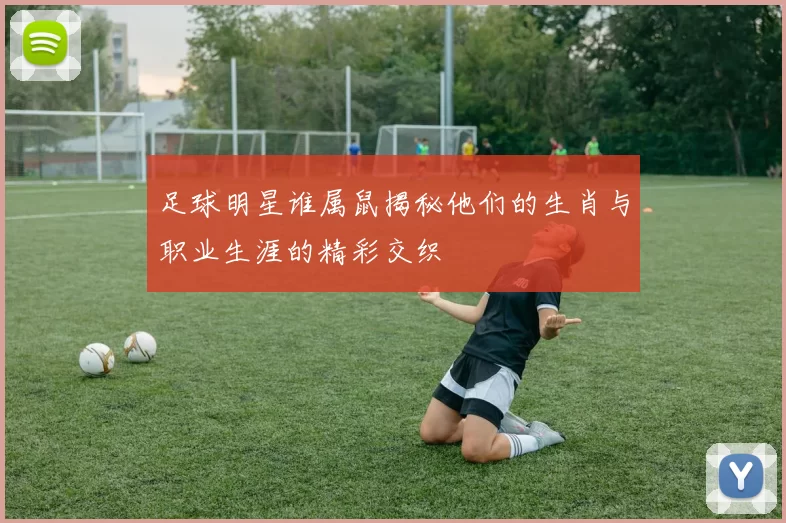 足球明星谁属鼠揭秘他们的生肖与职业生涯的精彩交织