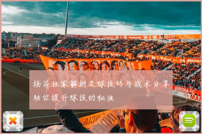 杨芳独家解析足球技巧与战术分享助你提升球技的秘诀