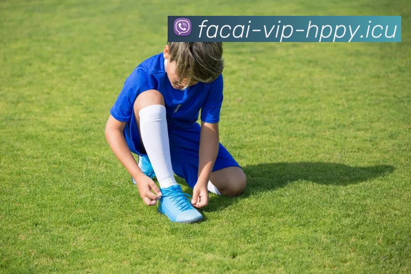 星空体育平台生态图