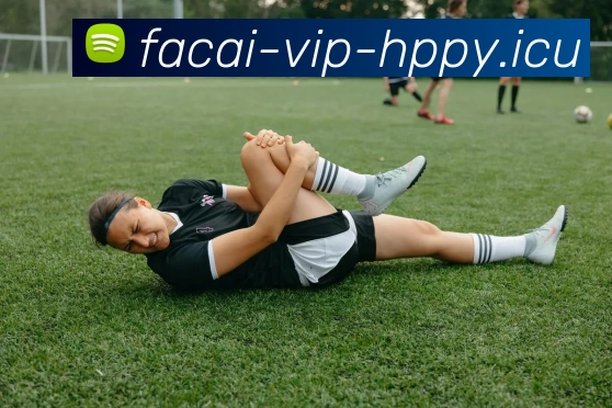 星空体育APP 封面图